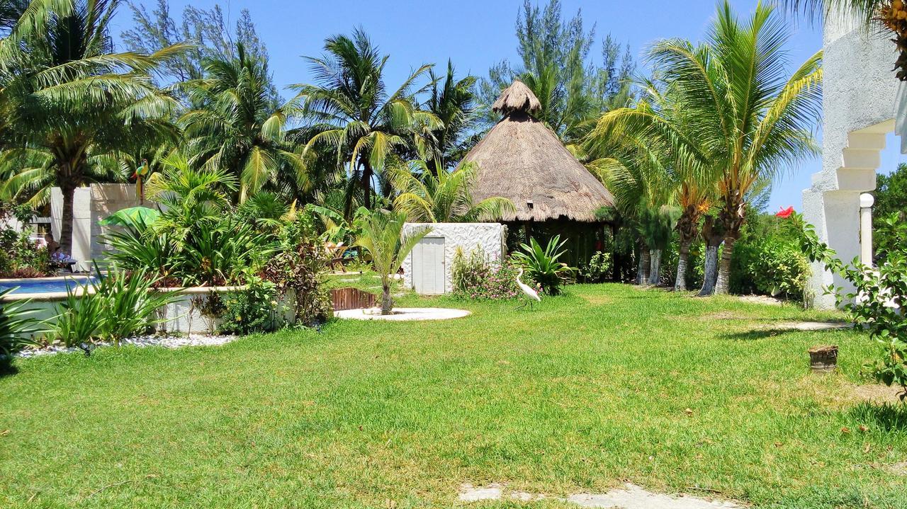 Maya Hotel Residence Holbox Extérieur photo