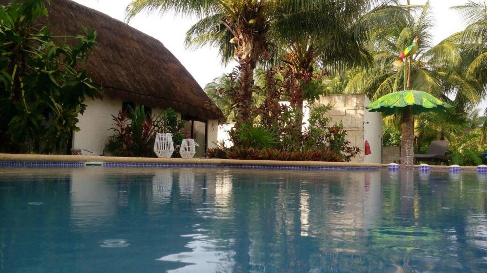 Maya Hotel Residence Holbox Extérieur photo